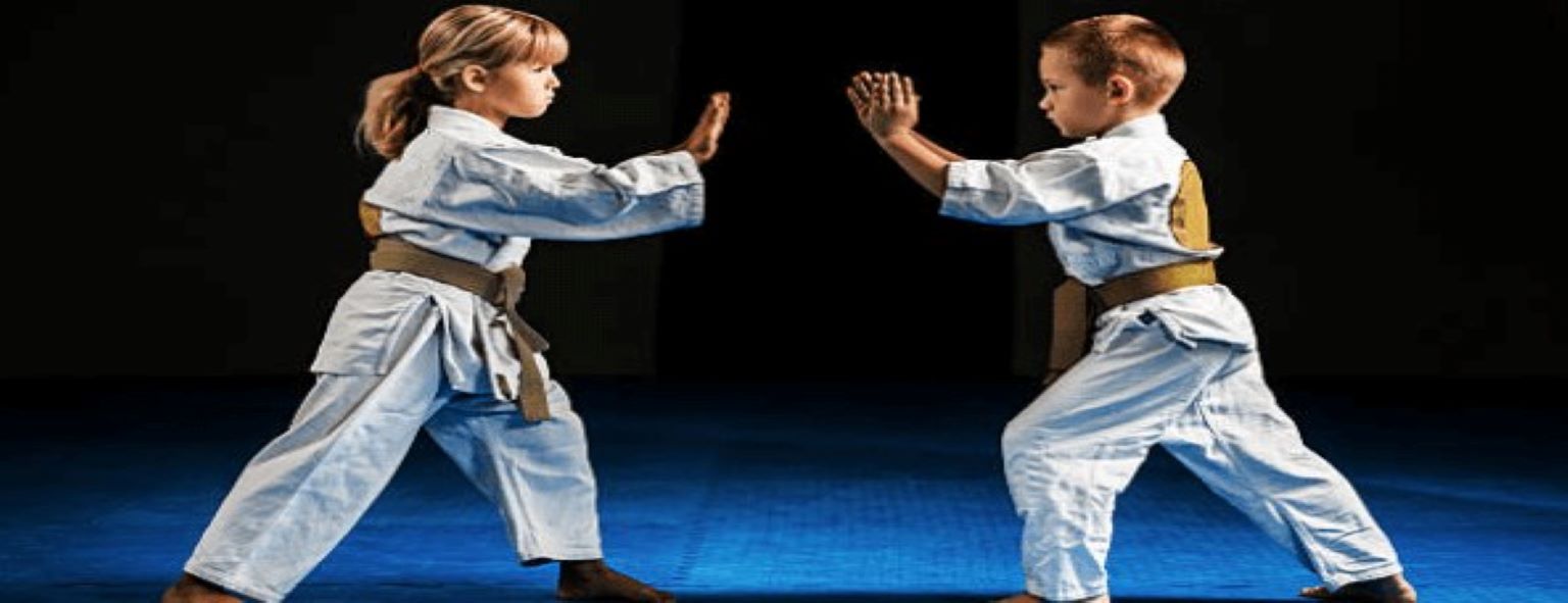 Entrenamiento De Artes Marciales Para Principiantes